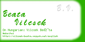beata vilcsek business card